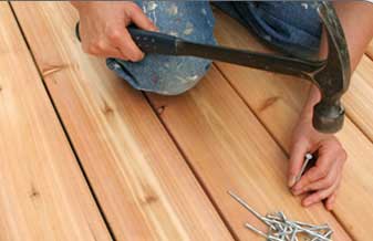 Ivan Carpintaria - Foto 1