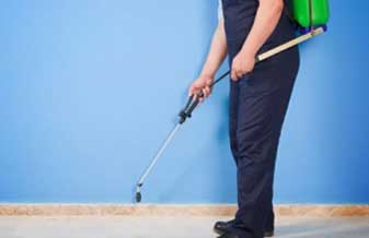 Ajatho Dedetizadora - Foto 1