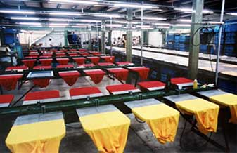 Vera Brogna - Foto 1