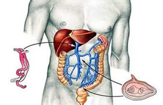 Gastroenterologia Araraquara - Foto 1