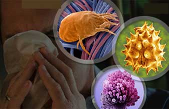 Laboratório Araraquarense de Analises - Foto 1