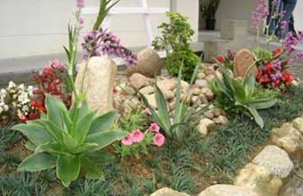 Ecoara Paisagismo - Foto 1