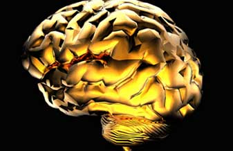 Neuroclínica Dr. Edelton Antonio De Marco - Foto 1