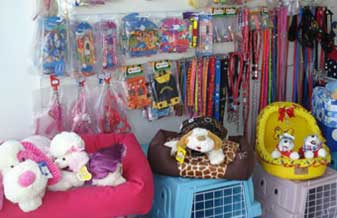 Dog Shop - Foto 1