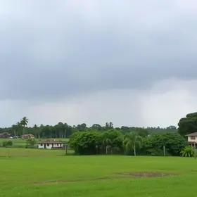 Pancadas leves Araraquara