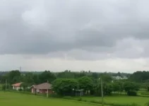 Araraquara
