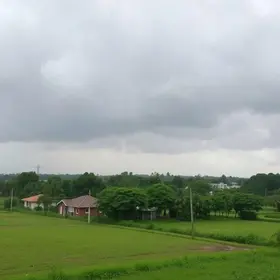 Araraquara