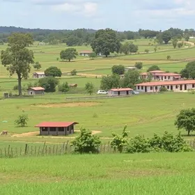 ausência de Araraquara