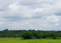 concurso DAAE Araraquara