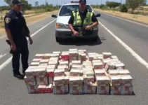 Policiamento Rodoviário