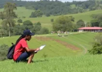 estágio em Araraquara