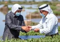 acordo de cooperação técnica