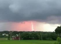 alerta amarelo