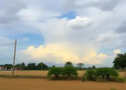 Últimas noticias de Araraquara