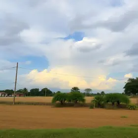 alerta amarelo