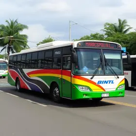 Araraquara transporte público