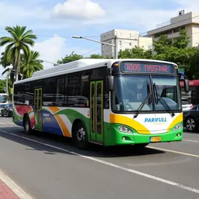 Paraty Mobilidade
