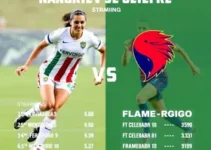 Campeonato Brasileiro Feminino