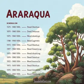Funcionamento da Seccional de Araraquara