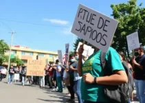 greve de terceirizadas