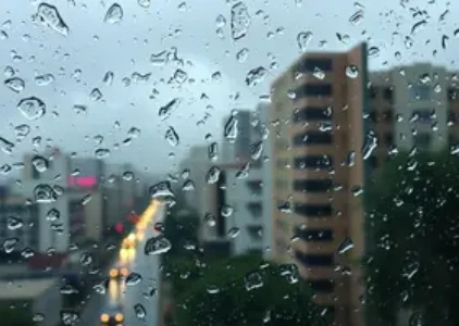 Últimas noticias de Araraquara