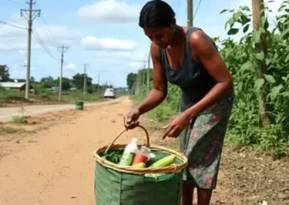Últimas noticias de Araraquara