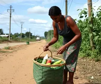 cestas básicas em Araraquara