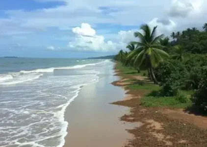 Últimas noticias de Araraquara