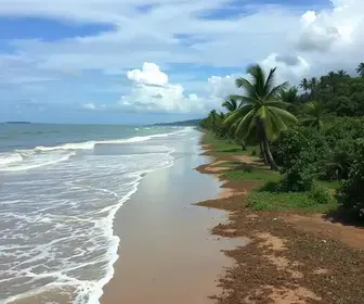 Operação El Niño
